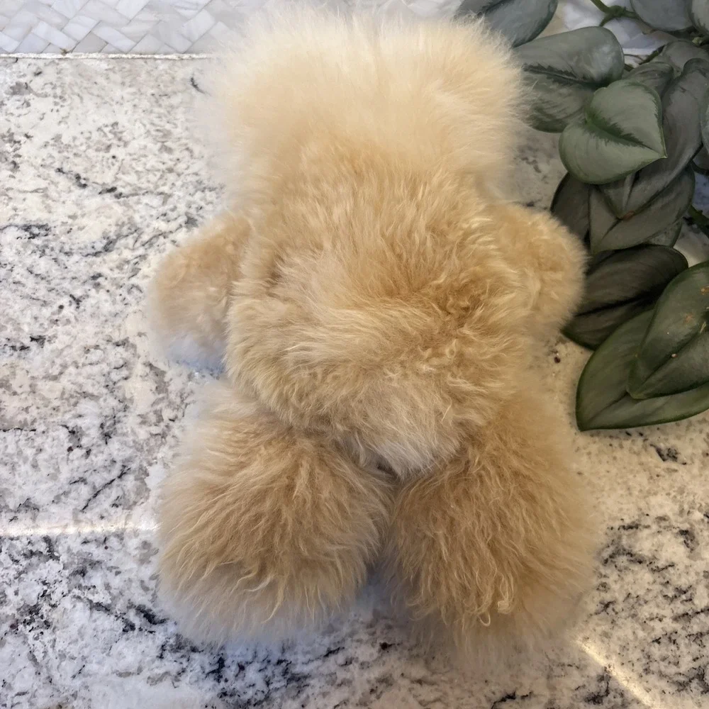 Teddy Bear Handmade 100% Baby Alpaca Wool Cream Tan Unique Stuffed Soft Plush